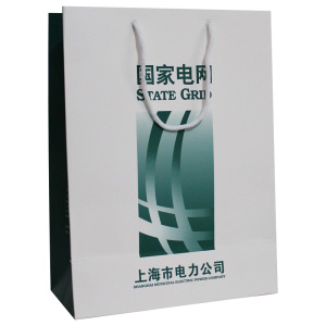 2016 New Designed Shopping Paper Bag